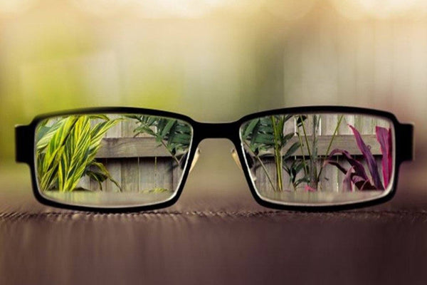 Cataratas: un enfoque natural para prevenir y retrasar su progresión