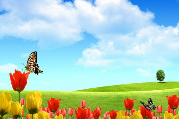 Coronavirus y vitamina D: la relación que hallaron investigadores europeos