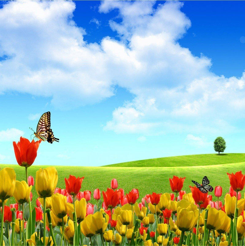 Coronavirus y vitamina D: la relación que hallaron investigadores europeos