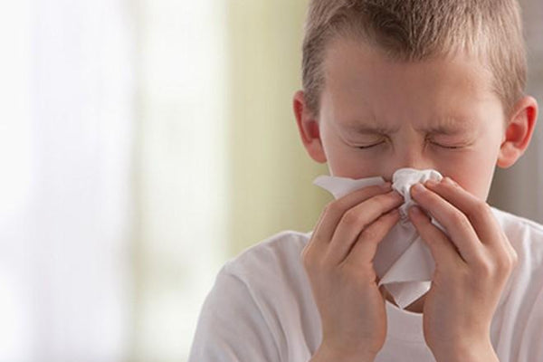 Prevenga y trate la sinusitis sin antibióticos.