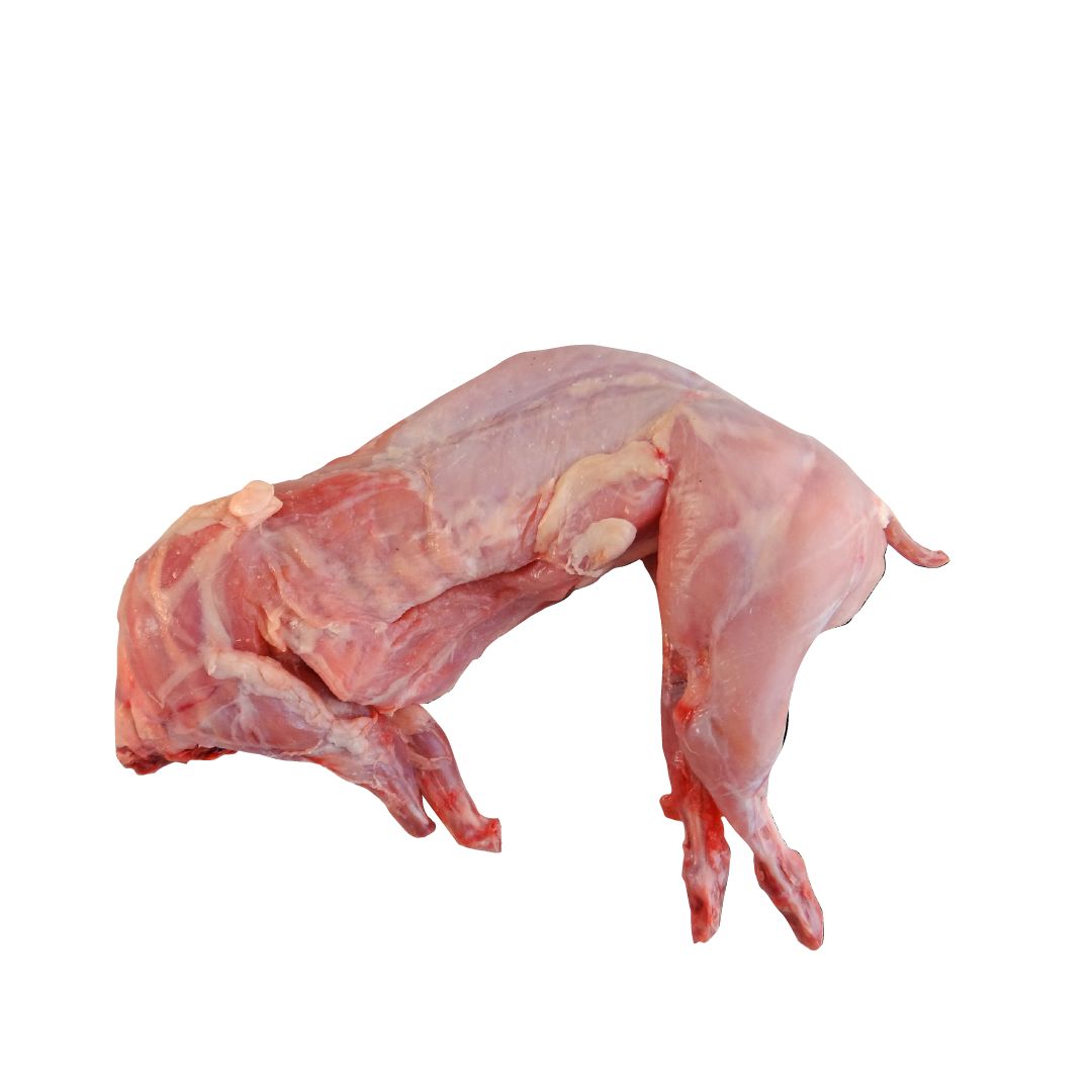 Conejo entero | 1,2 kg (Aprox)