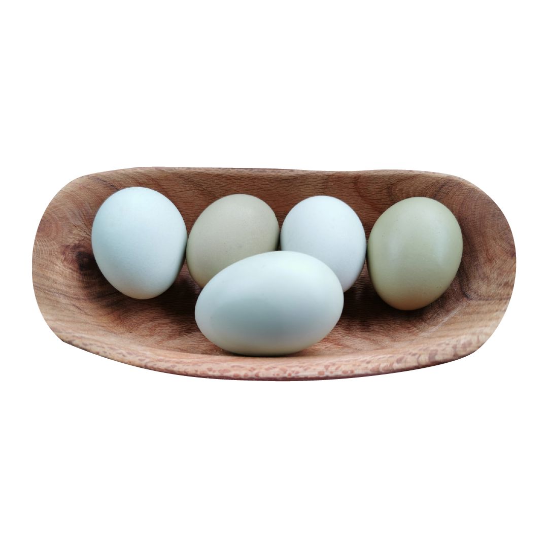 Huevos de Gallina Araucana