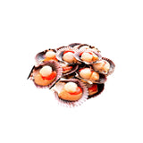 Ostiones con coral | 500 g (aprox)