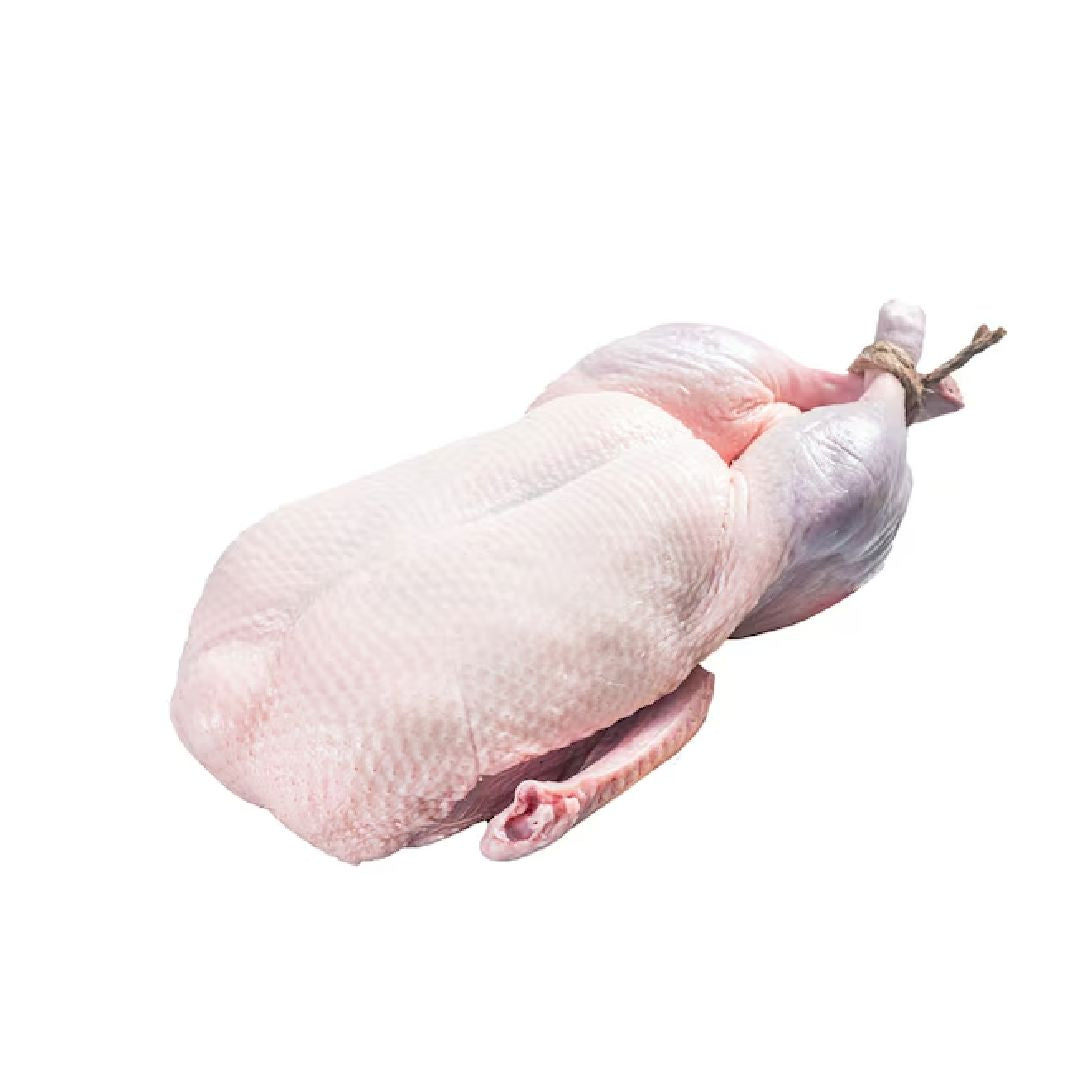 Pato entero | 2,4 kg (aprox)