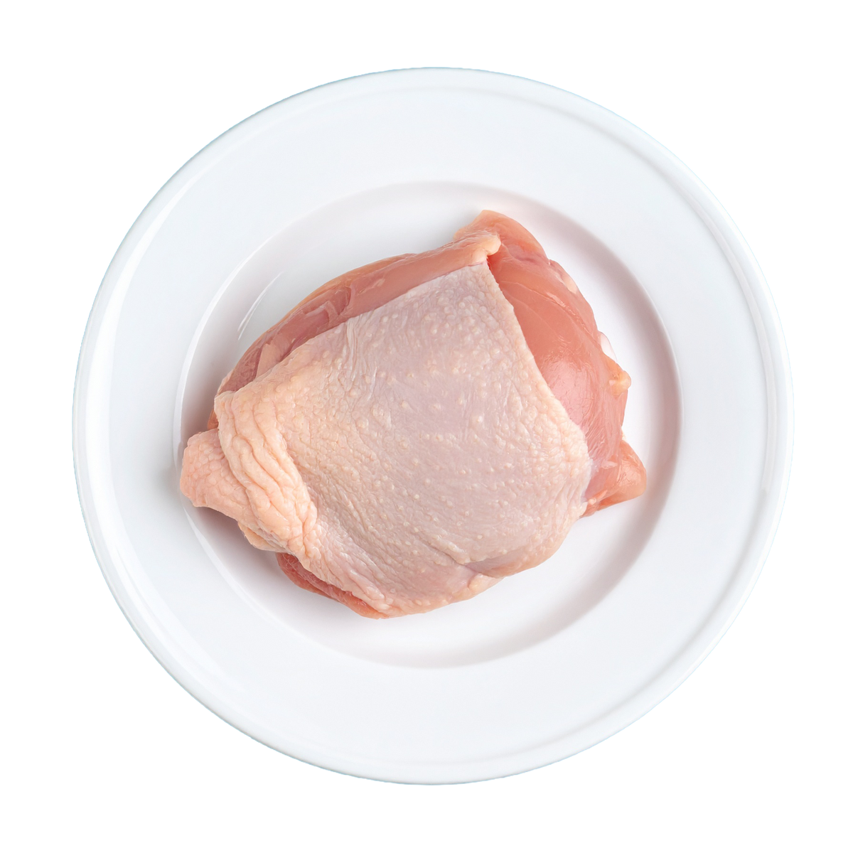 Trutro Corto Enriquecido