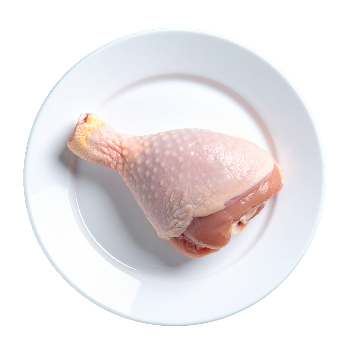 Trutro Largo Enriquecido