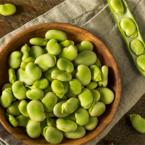 Habas peladas congeladas | 1 kg (aprox)