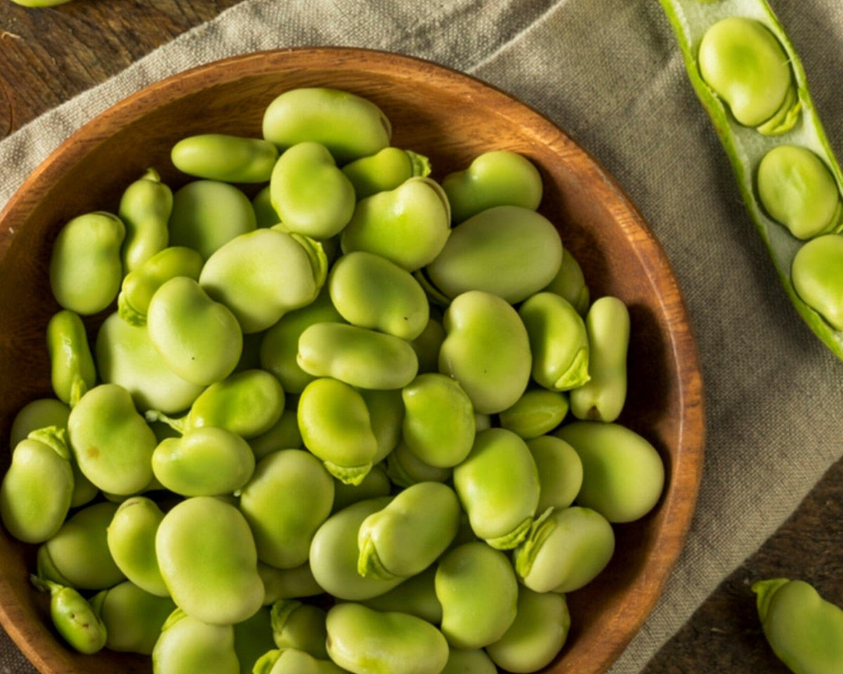 Habas peladas congeladas | 1 kg (aprox)