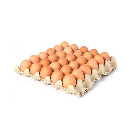 Huevos De Campo