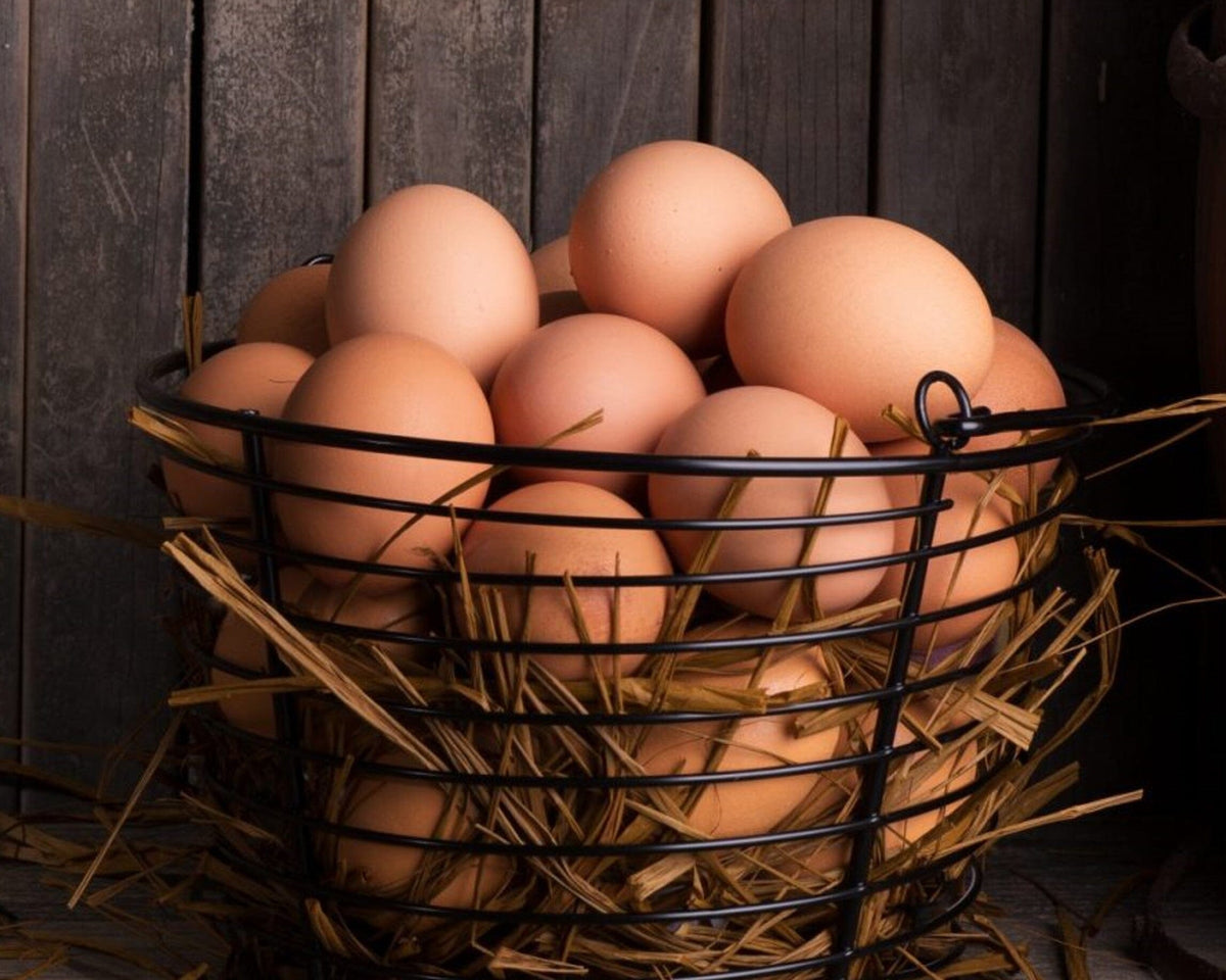 Huevos de campo
