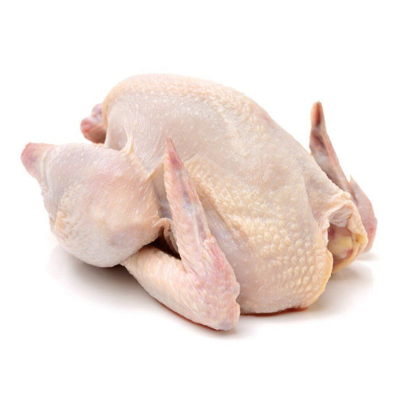 Nuestro pollo entero de 1.8 kg una vez descongelado