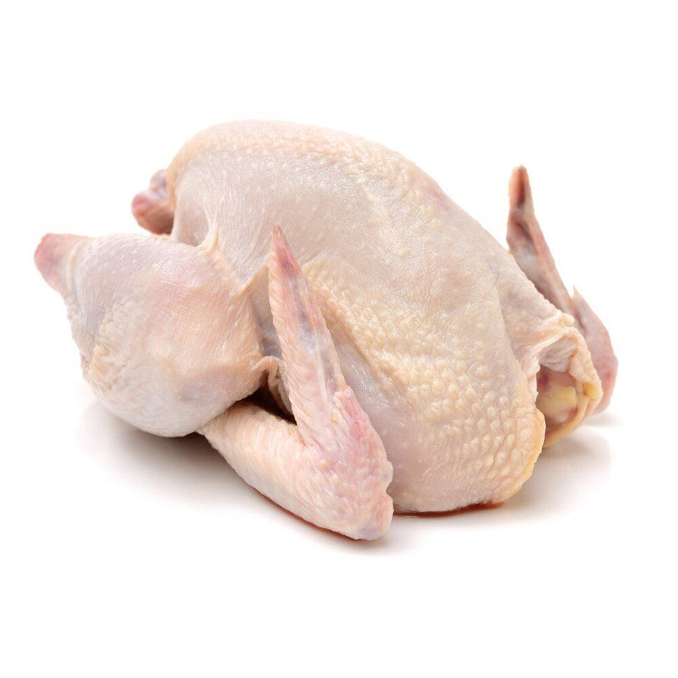 Nuestro pollo entero de 1.8 kg una vez descongelado